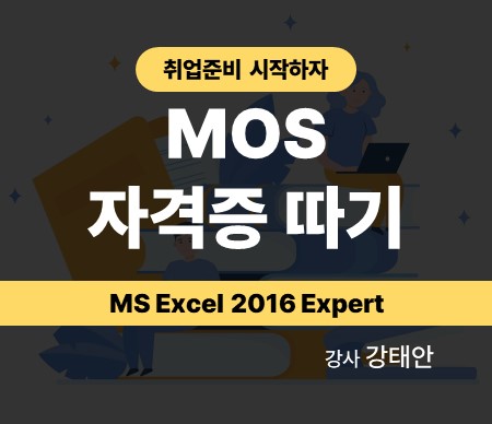 취업준비 시작하자 - MOS 자격증 따기 (MS Excel 2016 Expert)