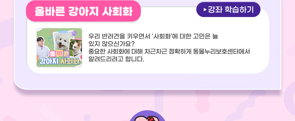 [ 꿀팁! <이벤트 추천 강좌>를 학습하시면 당첨확률 UP!IUP! ]   <올바른 강아지 사회화> 우리 반려견을 키우면서 '사회화'에 대한 고민은 늘 있지 않으신가요? 중요한 사회화에 대해 차근차근 정확하게 동물누리보호센터에서 알려드리려고 합니다. 우리 반려견의 올바른 생활을 위한 사회화, 한번 알아볼까요?