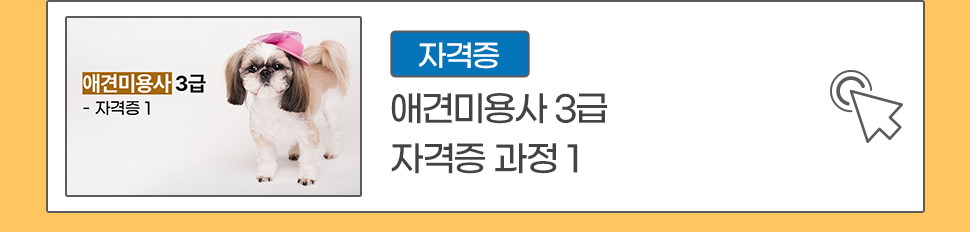 애견미용사 3급 자격증 과정 1