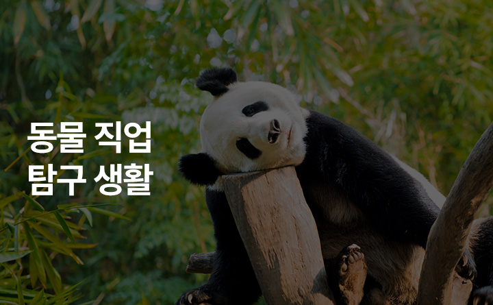 동물과 함꼐하는 직업 탐구생활