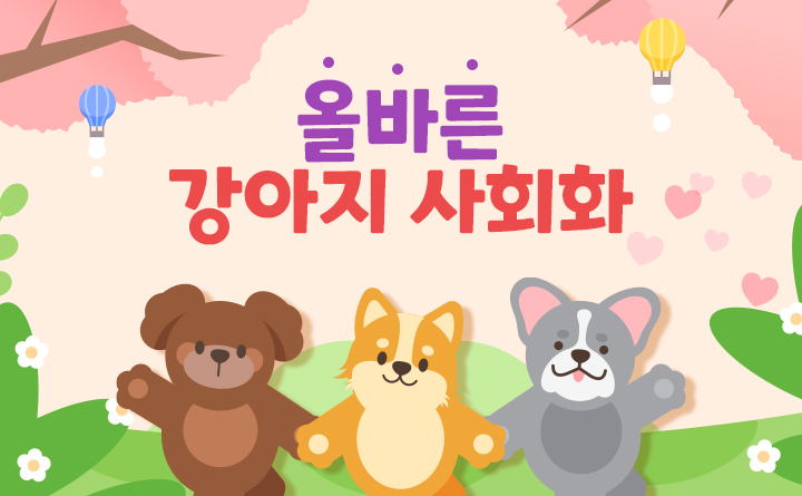 올바른 강아지 사회화