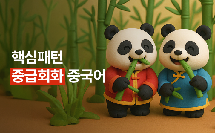 핵심패턴 중급회화 중국어