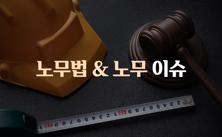새롭게 개정된 실전 노무법 & 노무 이슈