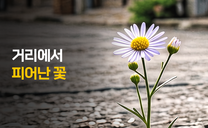 거리에서 피어난 꽃