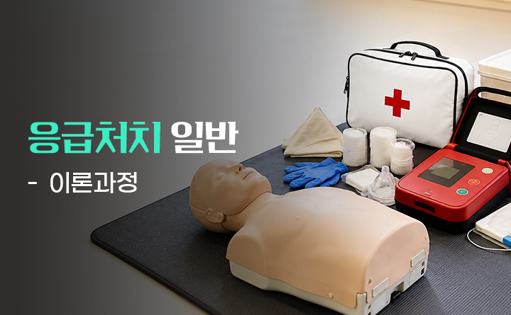 응급처치 일반 이론과정