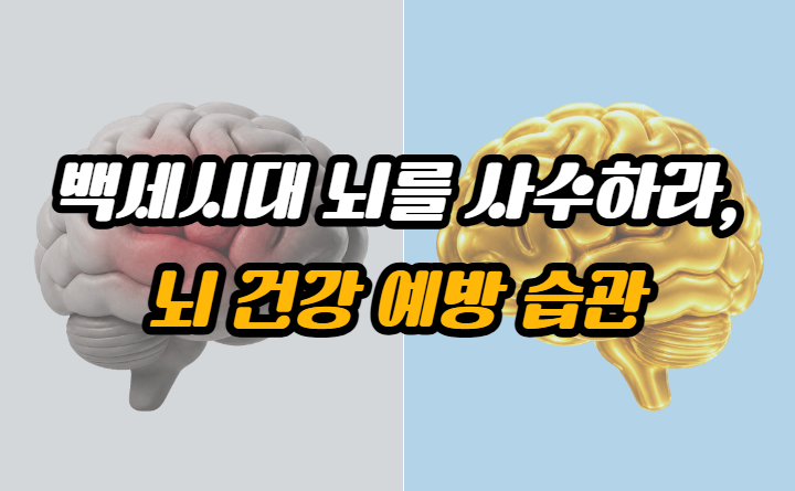 [은퇴설계백서] 백세시대 뇌를 사수하라, 뇌 건강 예방 습관